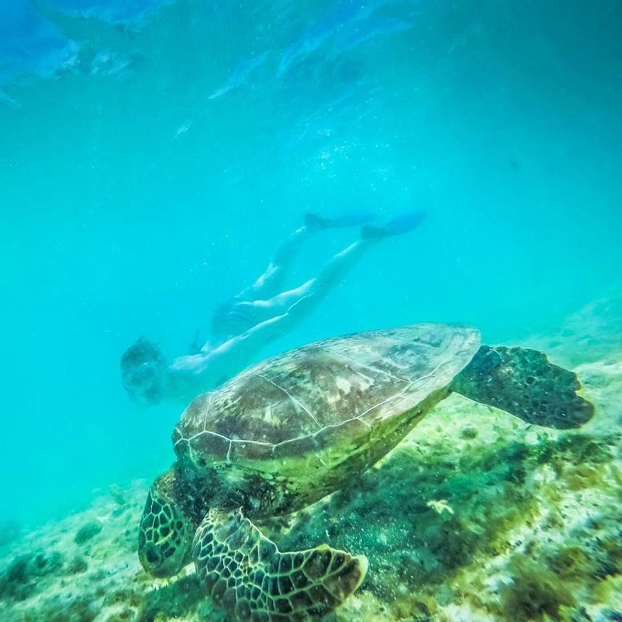 Tailua Beach Fales Manase Dış mekan fotoğraf